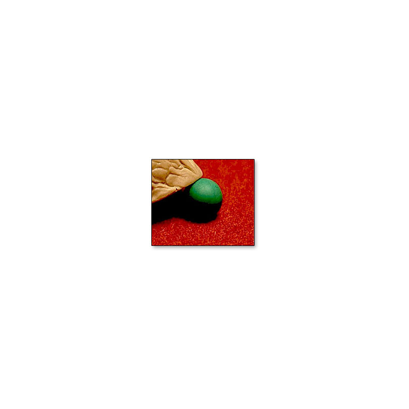 Perfect Peas (Green) by Whit Hayden and Chef Anton's School for Scoundrels