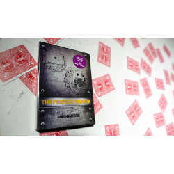 The Perfect World (DVD and Deck) Mago Migue and Luis De Matos
