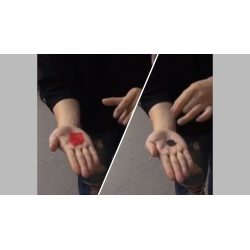 PETAL TO COIN by JL Magic - Trick