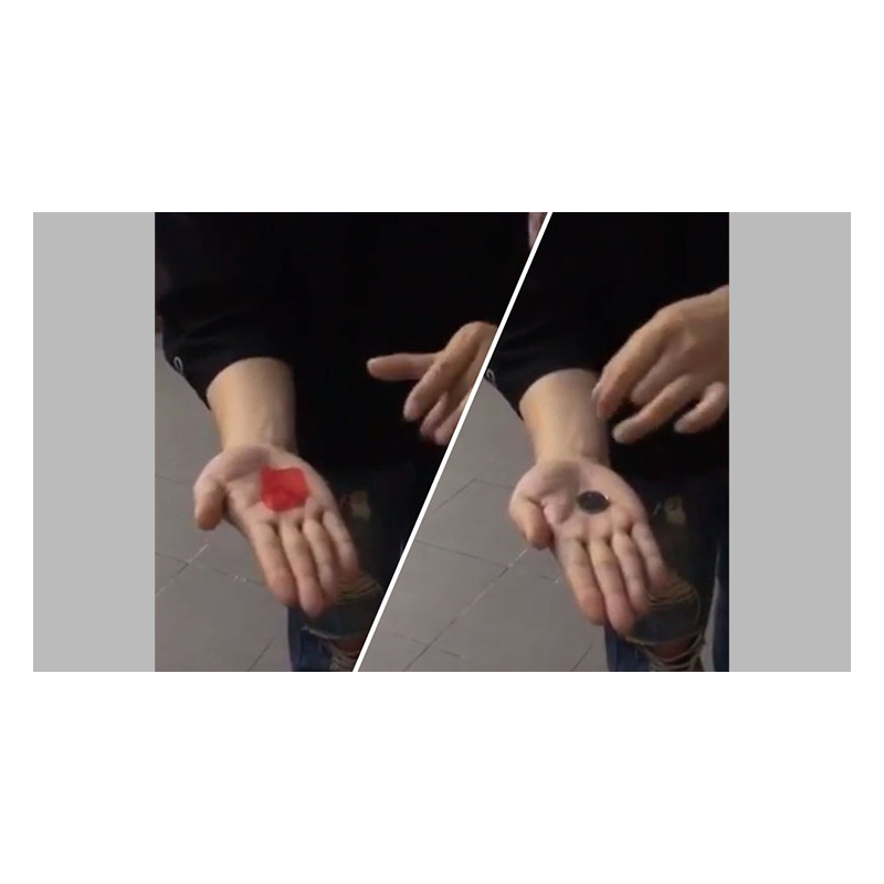 PETAL TO COIN by JL Magic - Trick