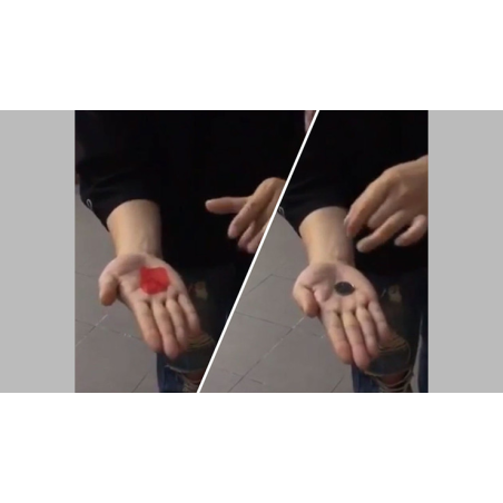 PETAL TO COIN by JL Magic - Trick
