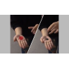 PETAL TO COIN by JL Magic - Trick