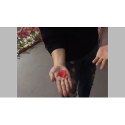 PETAL TO COIN by JL Magic - Trick
