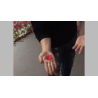 PETAL TO COIN by JL Magic - Trick