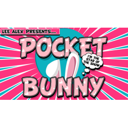 Pocket Bunny by Lee Alex