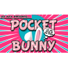 Pocket Bunny by Lee Alex