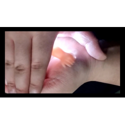 Portal Hand by Kelvin Chad and Bob Farmer (Gimmicks and Online Instructions) - Trick