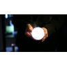 Rocco's Prisma Lites SOUND Single (Bug/White) - Trick