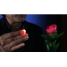 Rocco's Prisma Lites SOUND Single (Magic/Red) - Trick