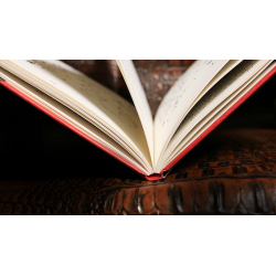 Horace Bennett's Prize Winning Magic (Limited/Out of Print) edited by Hugh Miller - Book