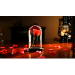 The Quantum Dome by Mai Bro and TCC Magic