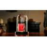 The Quantum Dome by Mai Bro and TCC Magic