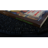 Raiders of the Lost Card by Michael Breggar