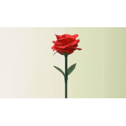 Rainbow Rose by JL Magic