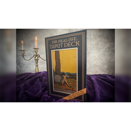 The Real-Life Tarot Deck by David Regal