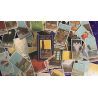 The Real-Life Tarot Deck by David Regal