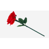 Reborn Rose by JL Magic