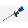 Reborn Rose by JL Magic