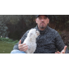 RESCUE MISSION (Gimmicks and Online Instruction) by Matthew Wright - Trick