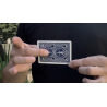REVERSE MATRIX RED (Gimmicks and Online Instructions) by Chiam Yu Sheng - Trick