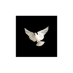 BLUFFF (Appearing Dove) by Juan Pablo Magic