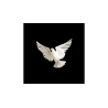 BLUFFF (Appearing Dove) by Juan Pablo Magic