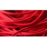 Joe Rindfleisch's SIZE 16 Rainbow Rubber Bands (Joe Rindfleisch - Red Pack) by Joe Rindfleisch - Trick