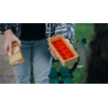 BonBon Box by George Iglesias and Twister Magic (Gold Box) - Trick