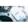 Silent Assistant Limited Duo Edition (Gimmick and Online Instructions) by SansMinds - Trick