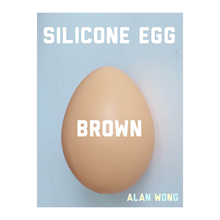 Silicone Egg (Brown) by Alan Wong - Trick