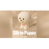 Silk to PUPPY by Alan Wong - Trick