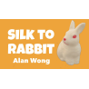 Silk to Rabbit by Alan Wong - Trick