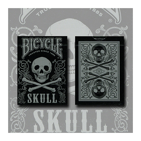 Bicycle Skull Metallic (Silver) USPCC by Gambler's Warehouse