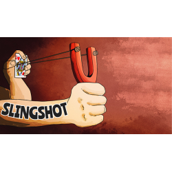 The Slingshot by Joel Anthony
