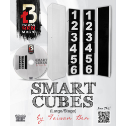 Smart Cubes (Large / Stage) by Taiwan Ben - Trick