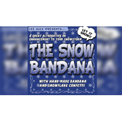 Snow Bandana by Lee Alex