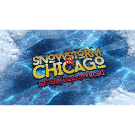 Bigblindmedia Presents Snowstorm In Chicago (Red) by Tom Dobrowolski