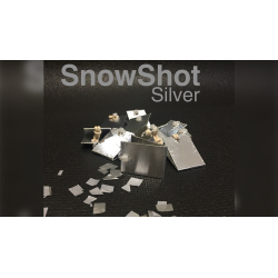 SnowShot SILVER (10 ct.) by Victor Voitko (Gimmick and Online Instructions) - Trick