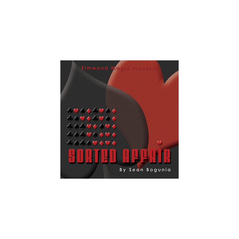 Sorted Affair (2013) by Sean Bogunia