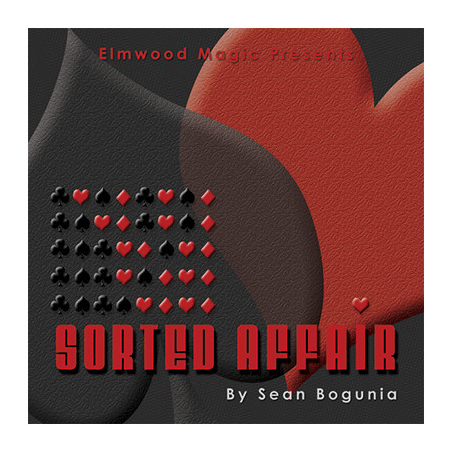 Sorted Affair (2013) by Sean Bogunia