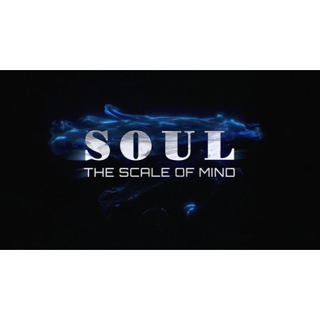 SOUL (Gimmicks and Online Instructions) by Wenzi - Trick