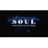 SOUL (Gimmicks and Online Instructions) by Wenzi - Trick