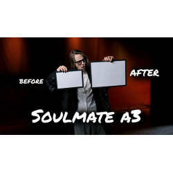 Soulmate (Large A3 size) by Hide and Sergey Koller