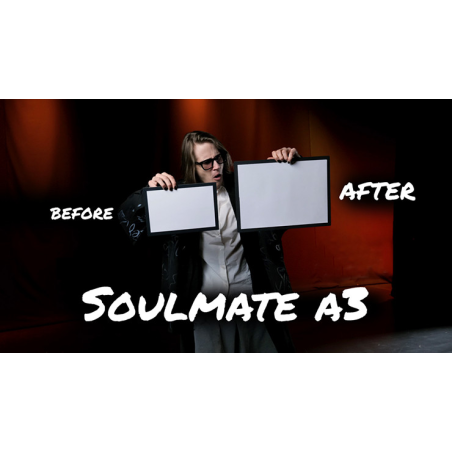 Soulmate (Large A3 size) by Hide and Sergey Koller