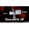 Soulmate (Large A3 size) by Hide and Sergey Koller