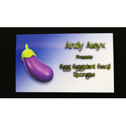 Sponge Emoji EGGPLANT (4PK.) by Andy Amyx- Trick