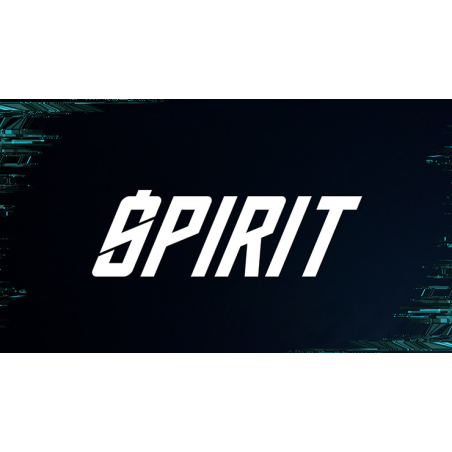 Spirit (Black) by Ardubi and Doosung Hwang