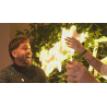 Splash Finale