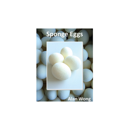 Sponge Eggs (4pk.) by Alan Wong - Trick