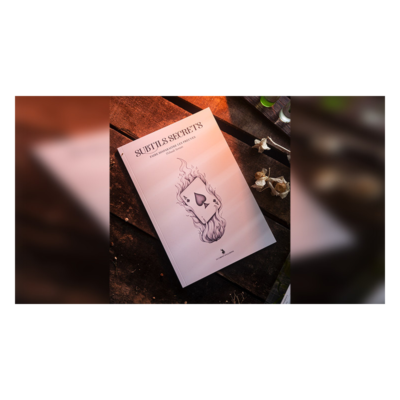 Subtle Secrets 1 by Thibault Ternon